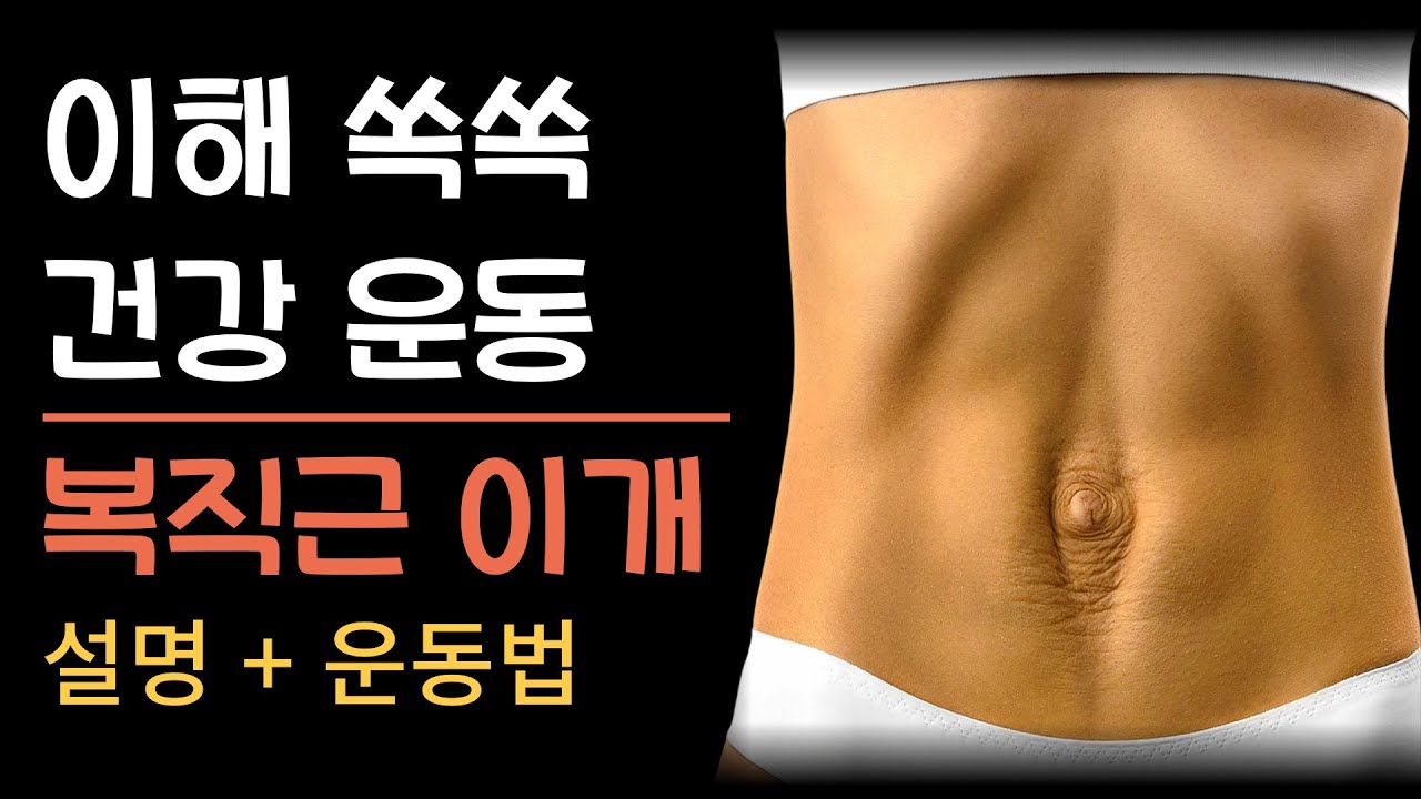 이해 쏙쏙 건강 운동 - 복직근 이개편 | 