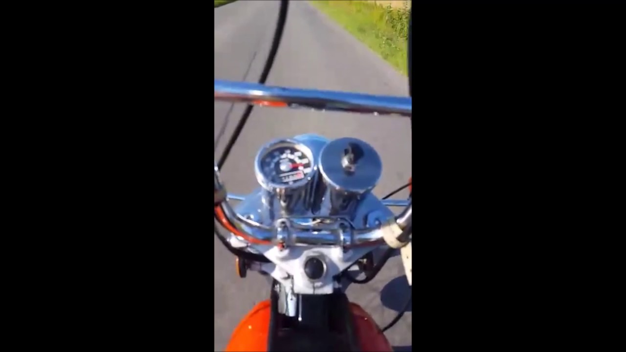 Wsk 175 dudek v max
