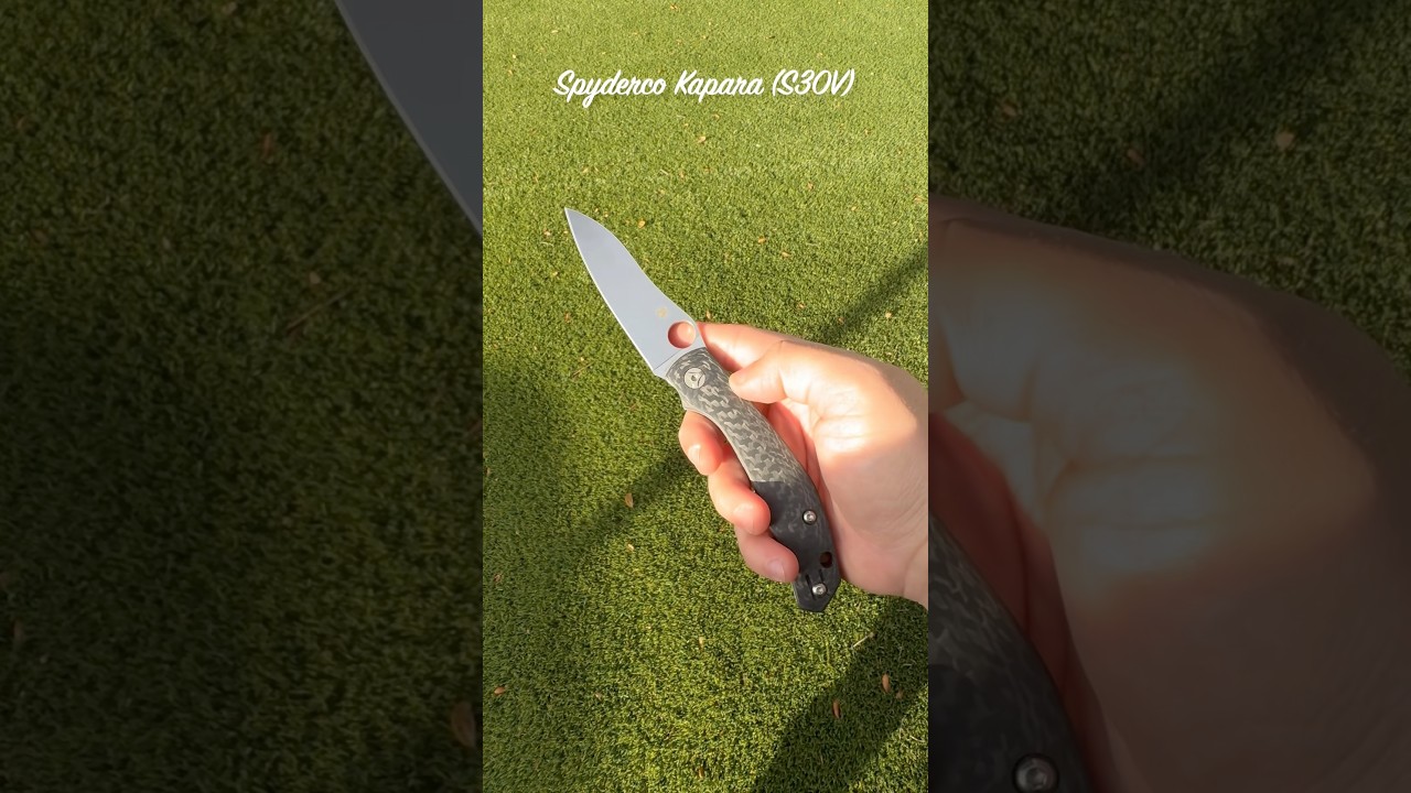 This Spyder BITES 