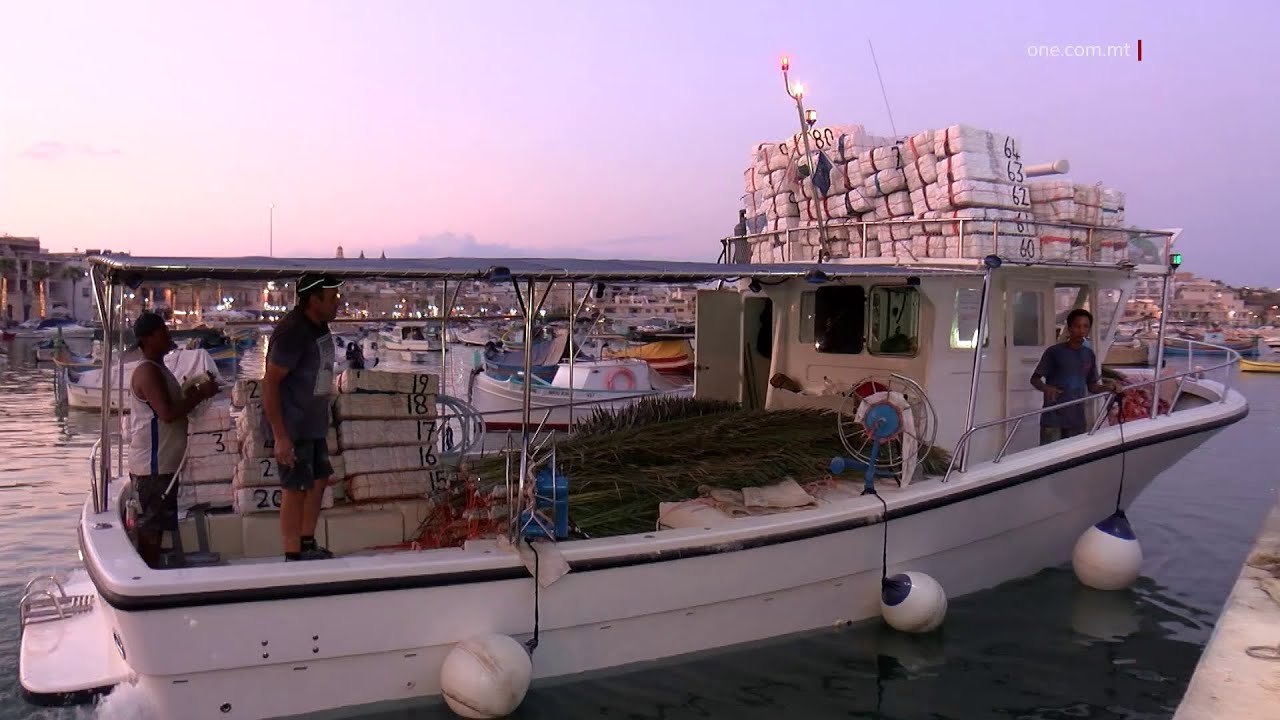 IS-SAJJIEDA ĦERQANA BIEX JAQBDU L-LAMPUKI