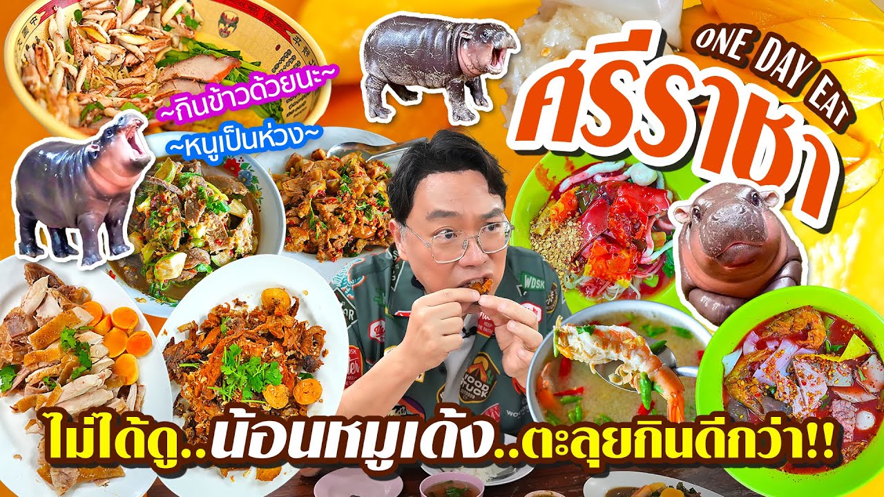 VLOG 64 l One Day Eat ศรีราชา • น้องหมูเด้ง ก็ไม่ได้ดู..แต่ของอร่อยชั้นก็ต้องกิน!! l KiaZaab2024