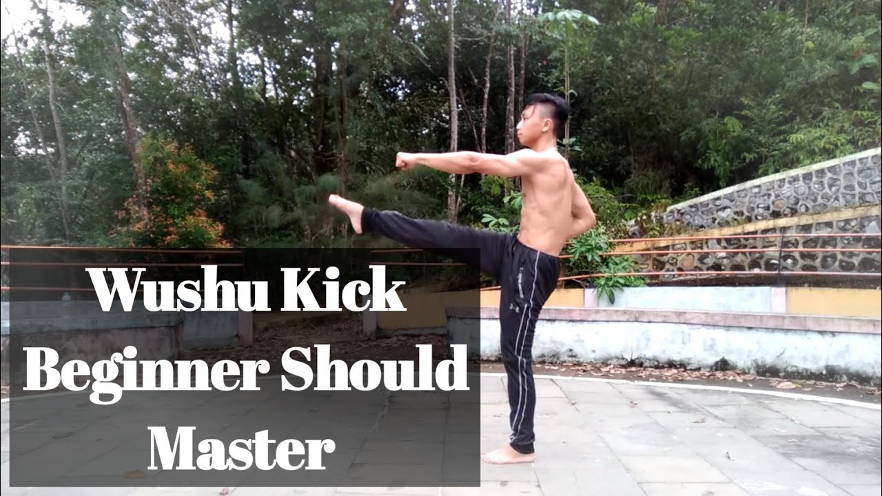 Wushu Kick Beginner Should Master - Tan Tui (Wushu Taolu and Sanda)