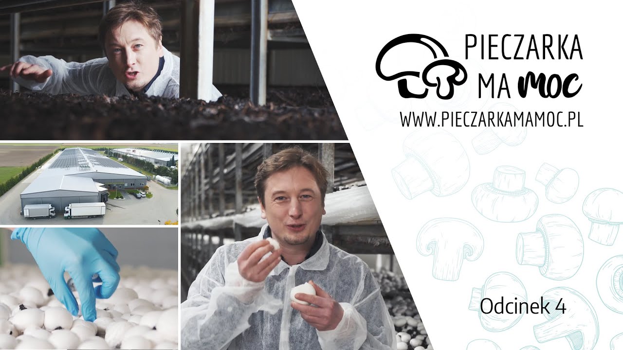 Skąd się biorą pieczarki? Wizyta Grzegorza Łapanowskiego w pieczarkarni - Odcinek 4