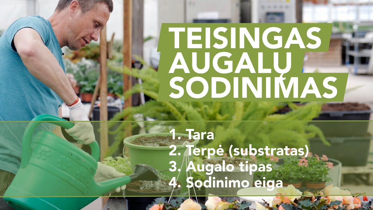 Kaip teisingai sodinti augalus? | Pirmoji įvadinė dalis #1