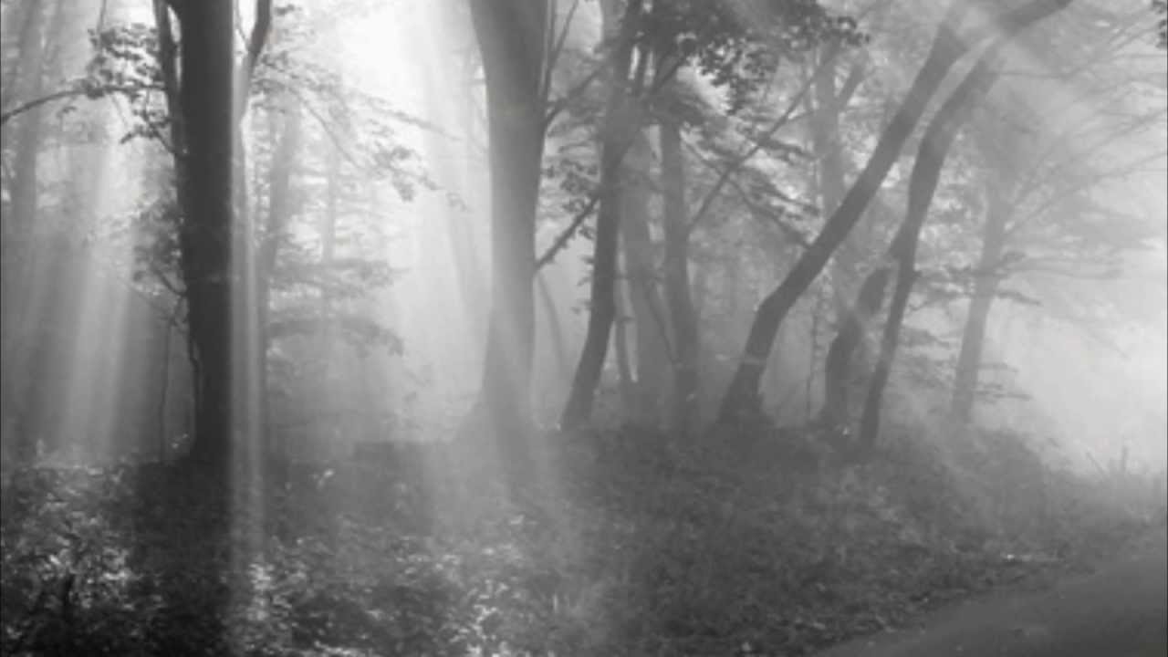 Kratos Himself - Lonely Ride