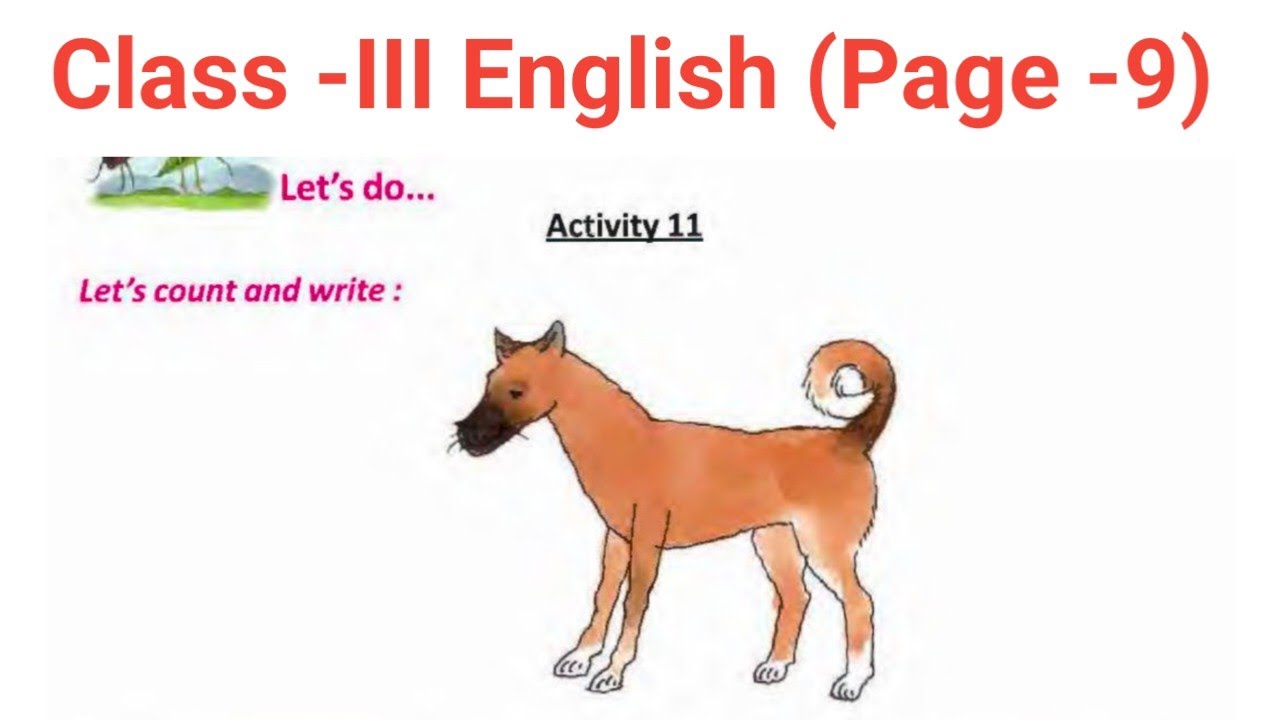 class 3 english activity 11 page 9 // class 3 english page no 9 // Class III English Page 9