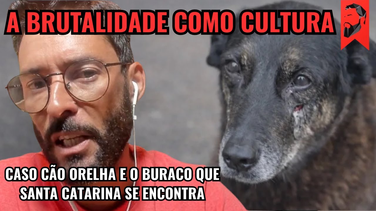 A BRUTALIDADE COMO CULTURA: O CASO DO CÃO ORELHA E O BURACO QUE SANTA CATARINA SE ENCONTRA