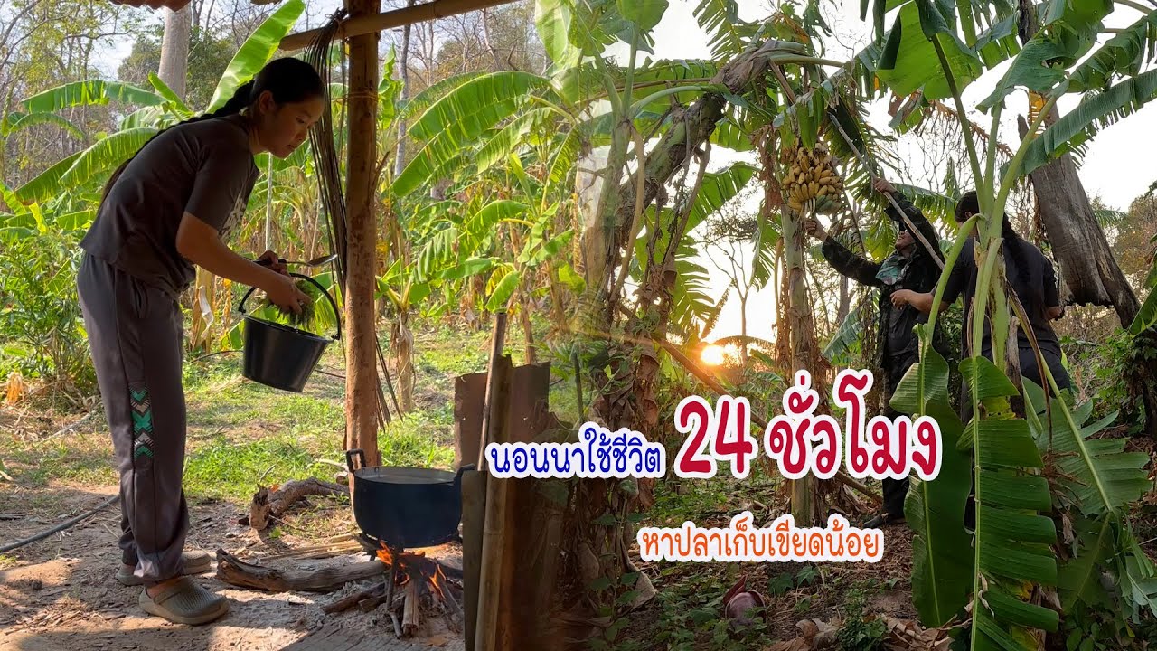 กินอยู่เถียงนา24ชั่วโมง ยิงปลาหมกเขียดน้อยหากินตามฤดูกาล