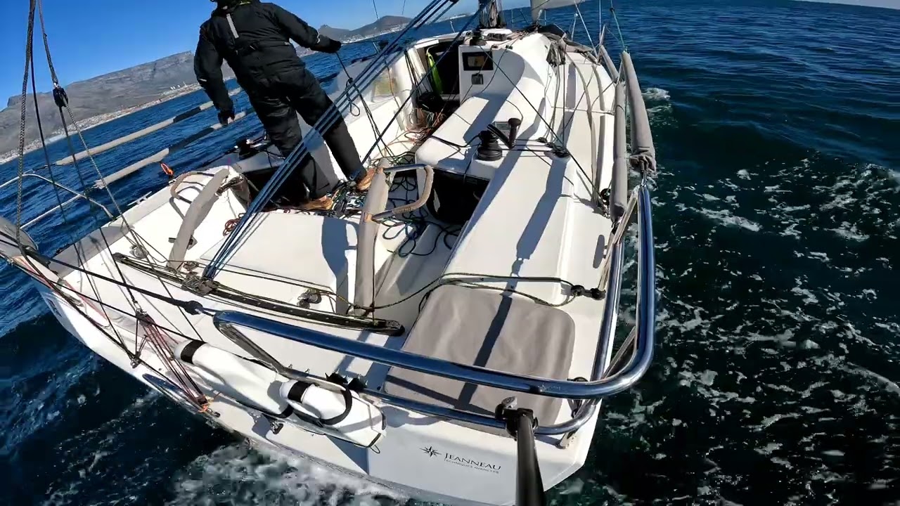 Sunfast 3200 - YOLO - solo
