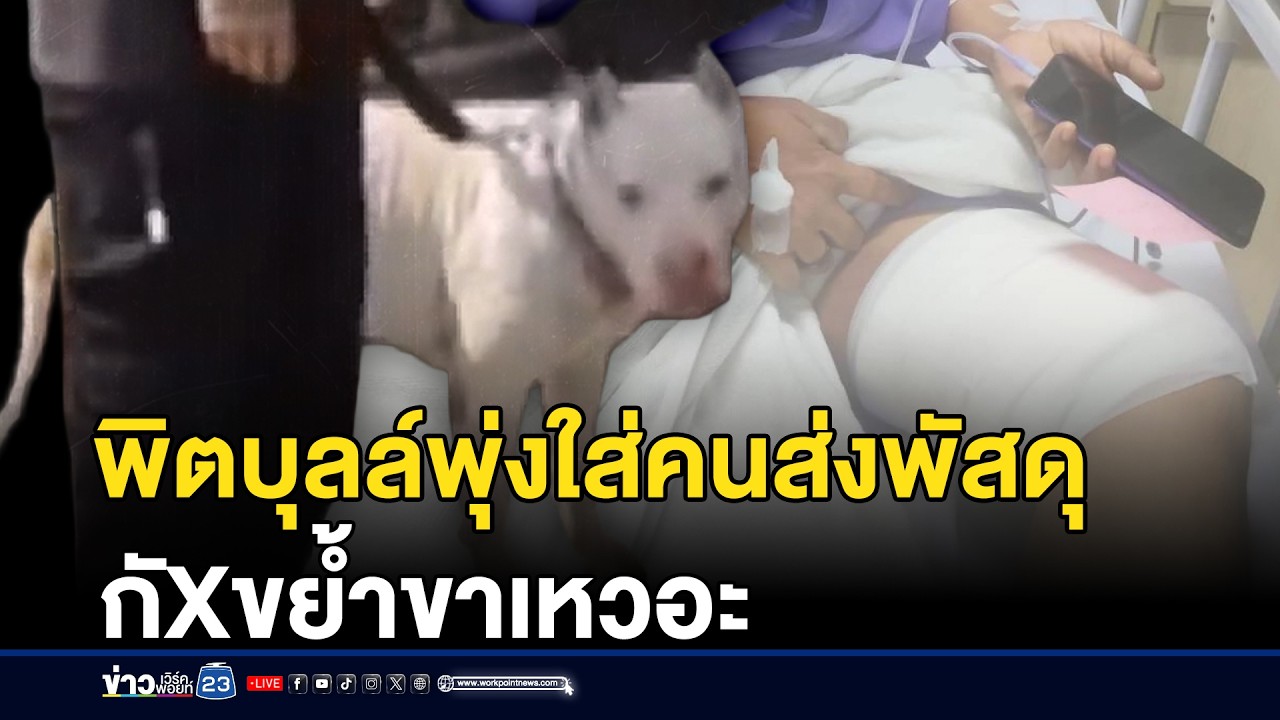 พิตบุลล์พุ่งใส่ พนง. ส่งพัสดุ กัดขย้ำขาเหวอะ | ชงข่าวเขย่าจอ | 4 มีนาคม 2569