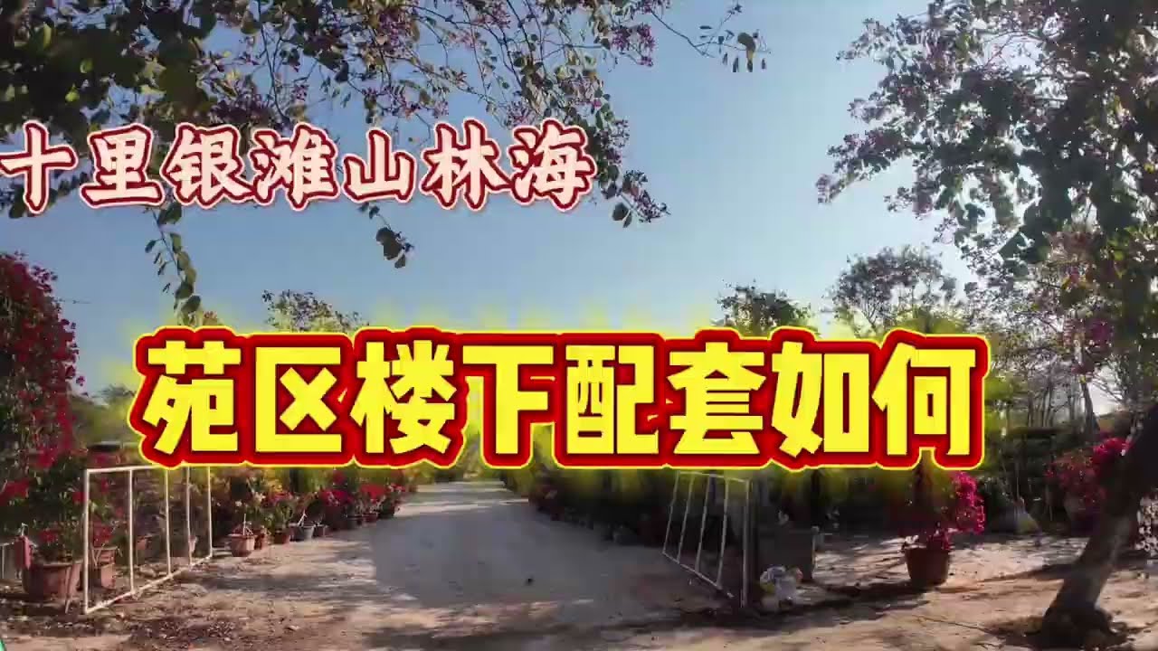 十里银滩山林海苑区楼下苑区配套，有公交巴士直到沙田地铁站、京侨巴士到深圳口岸、苑区免费接驳巴士#十里銀灘 #惠州樓盤 #大灣區 #華潤小徑灣 