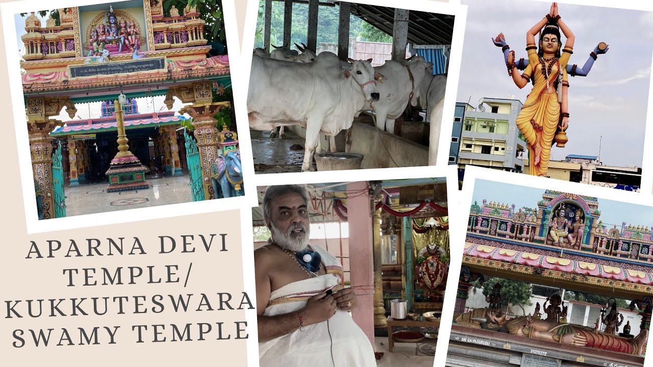 Aparna Devi Temple/Tatiparthi/Sri Kukkuteswara Swamy Temple/Aalayam/Pithapuram/Gosala/Telugu vlog/AP