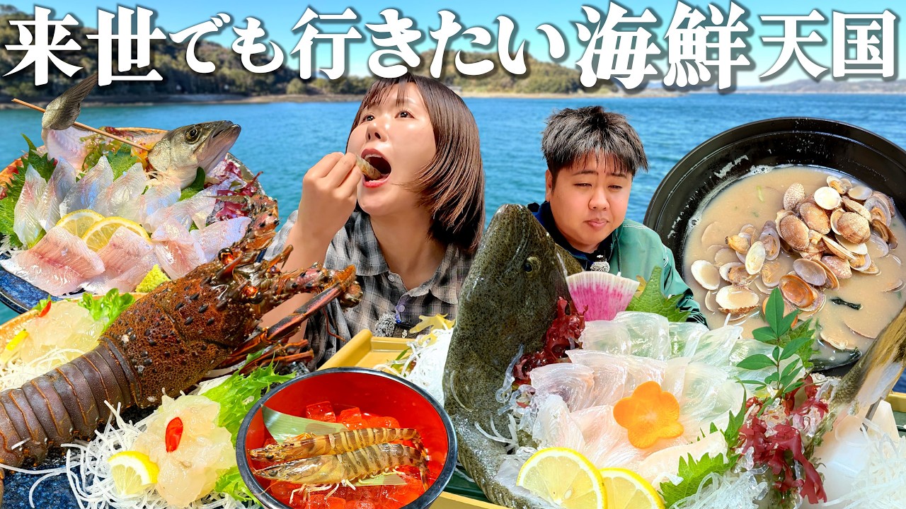 【熊本・天草】大人が興奮する海鮮グルメ天国！遭遇率98%の野生イルカを探す1泊2日が一瞬すぎた