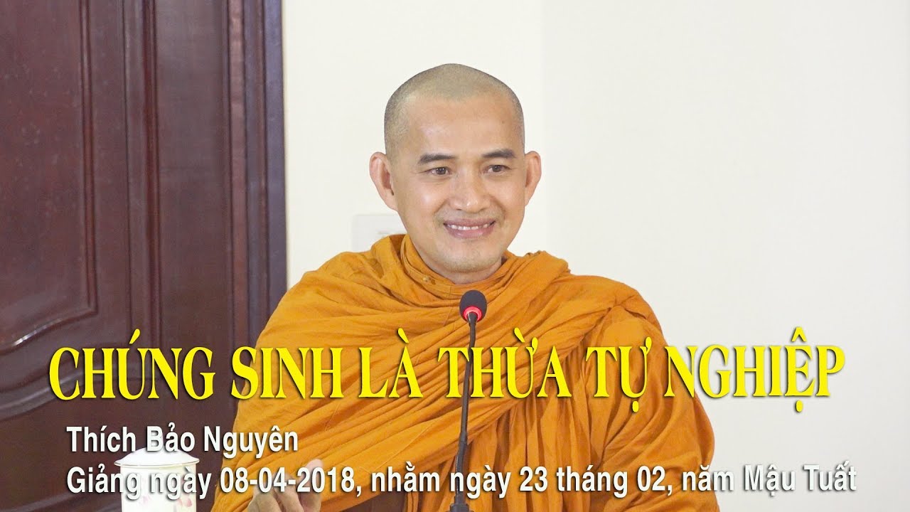 CHÚNG SINH LÀ THỪA TỰ NGHIỆP - Thích Bảo Nguyên