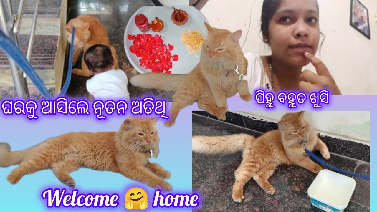 ଘରକୁ ଆସିଲେ ନୂତନ ଅତିଥି ,pihu bahut khusi , welcome home 🏡