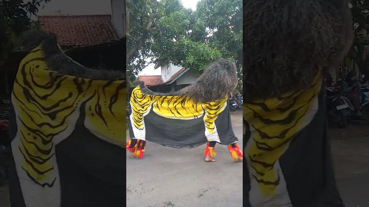 Live singo barong di pasar kangkung 