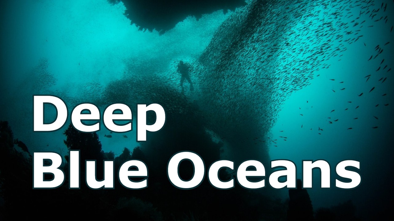SeaWeek 2026: Deep Blue Oceans