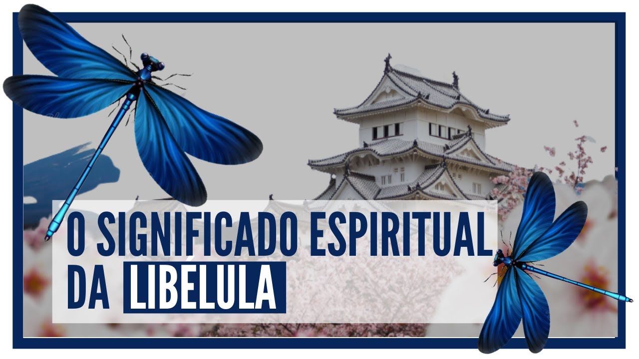 o presságio da libélula - significado espiritual da libélula
