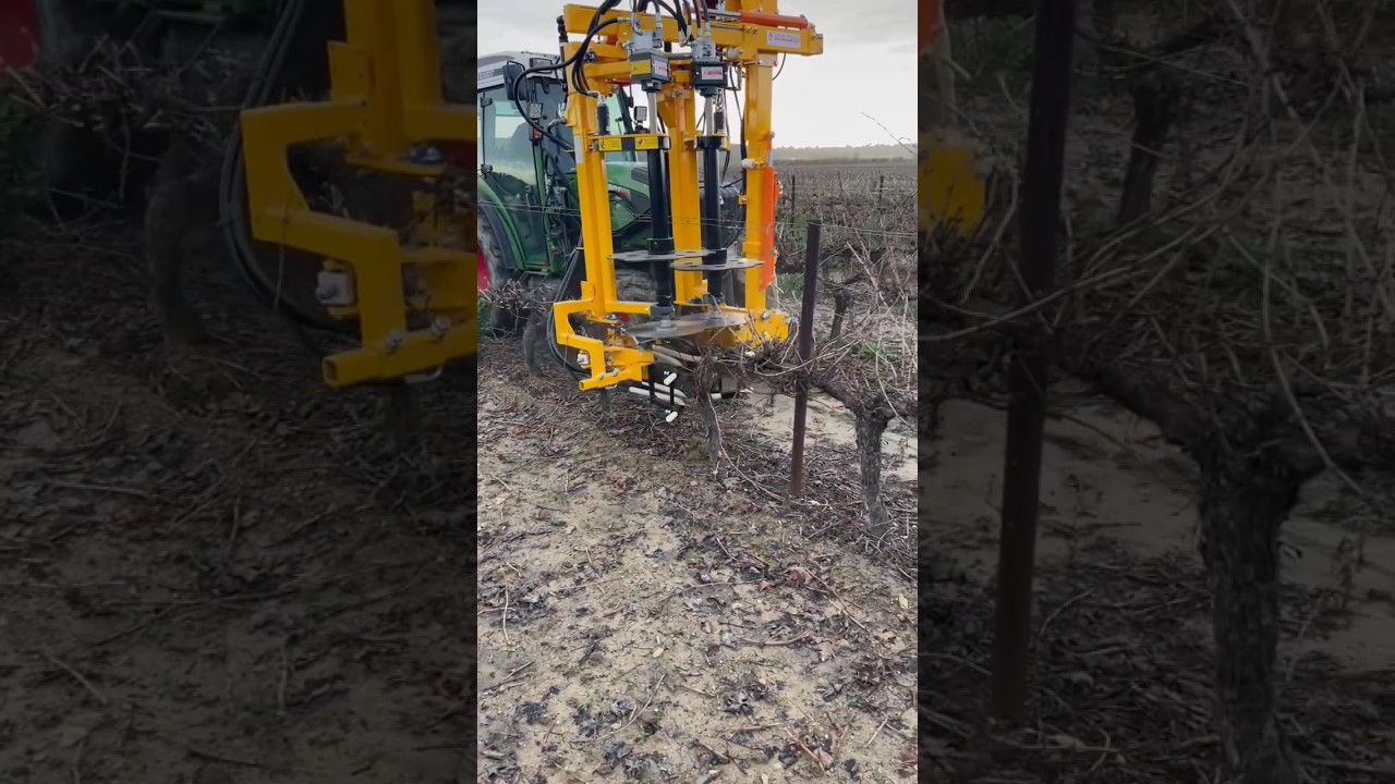 Field Demo Of Pruning Machine || Made By CELLIER BOISSET France || #shorts #farming