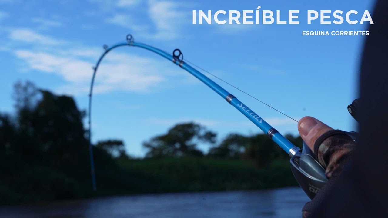 INCREÍBLE PESCA en Esquina Corrientes, Dorados y Surubí Casablanca
