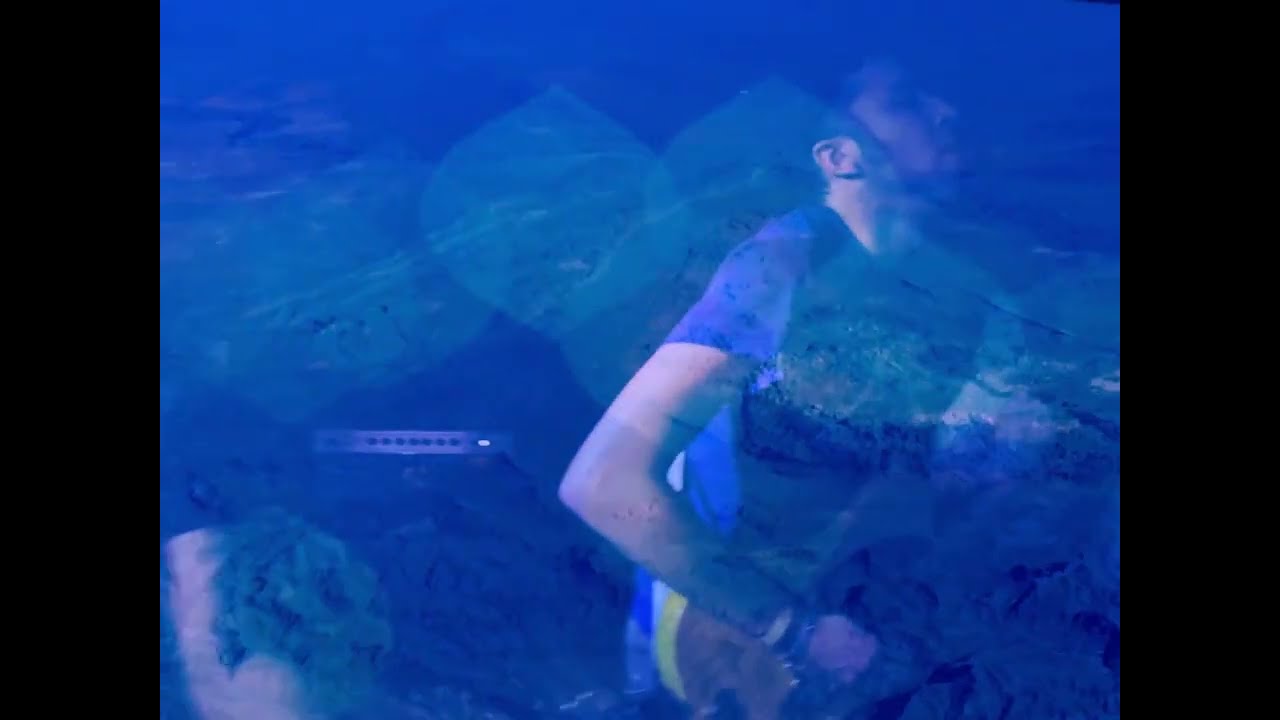 Signal Hill - Celadon (Official Music Video)