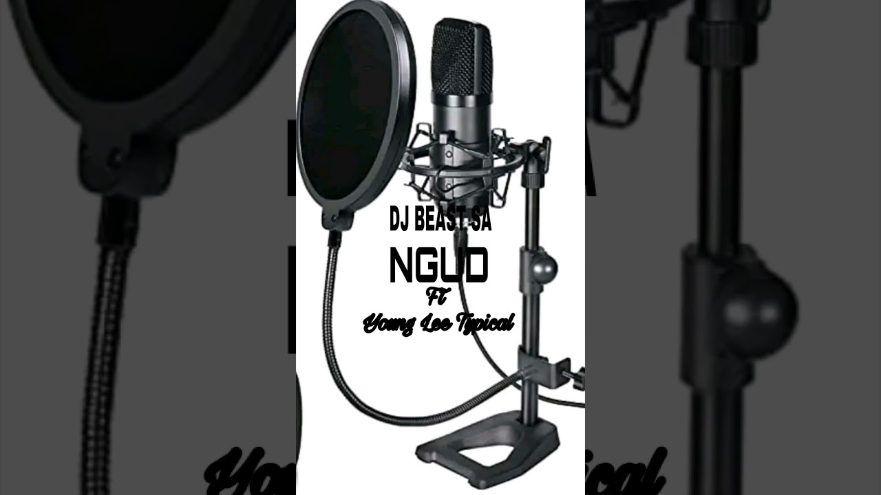 DJ BEAST SA - NGUD Feat Young Lee Typical