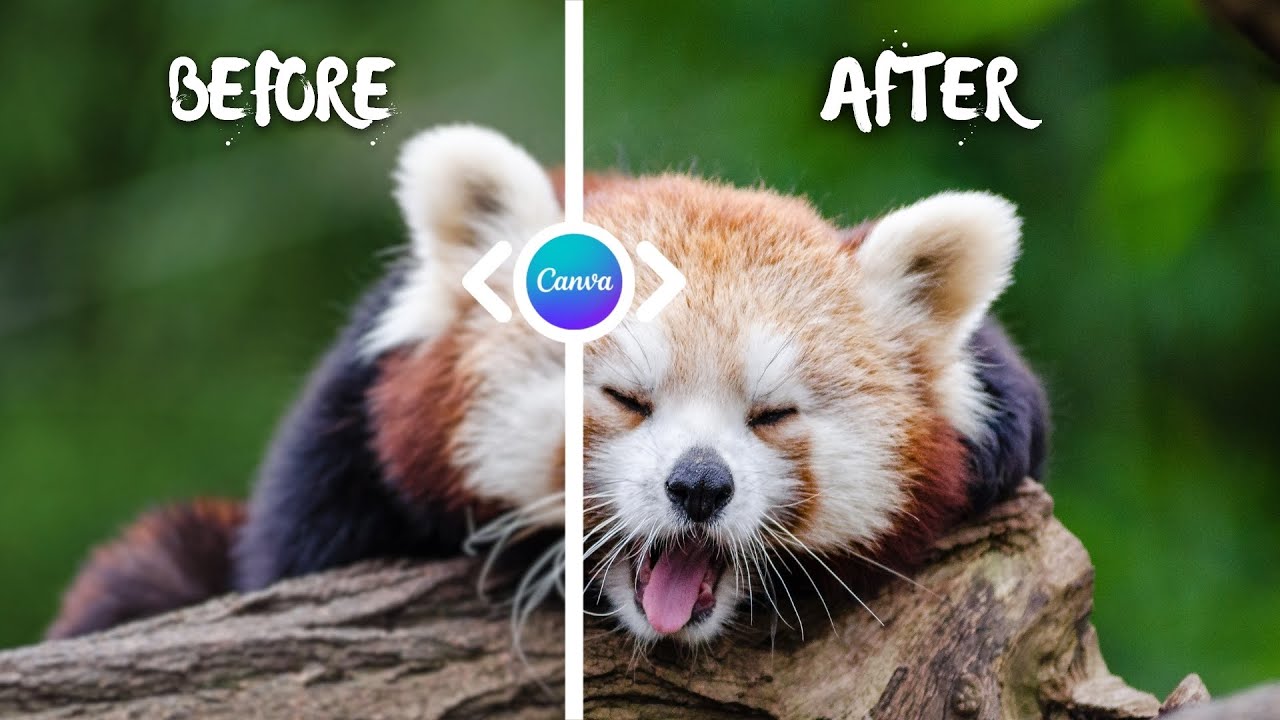 Boost Video Quality in Canva | HD & 4K Upscale Tutorial