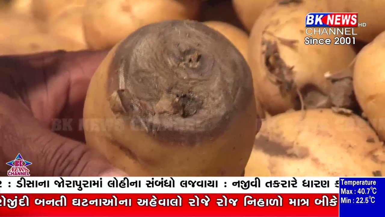 બનાસકાંઠામાં બટાટાના ભાવ તળિયે, ખેડૂતો રાતા પાણીએ રોઈ રહ્યા…!