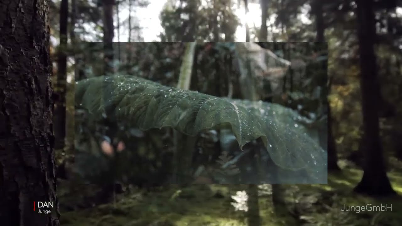 Junge - DAN (Official Visualizer)