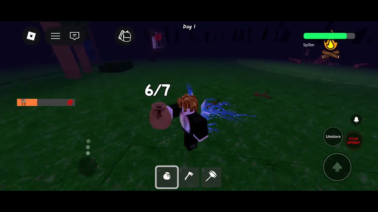 99 days in the Forest 