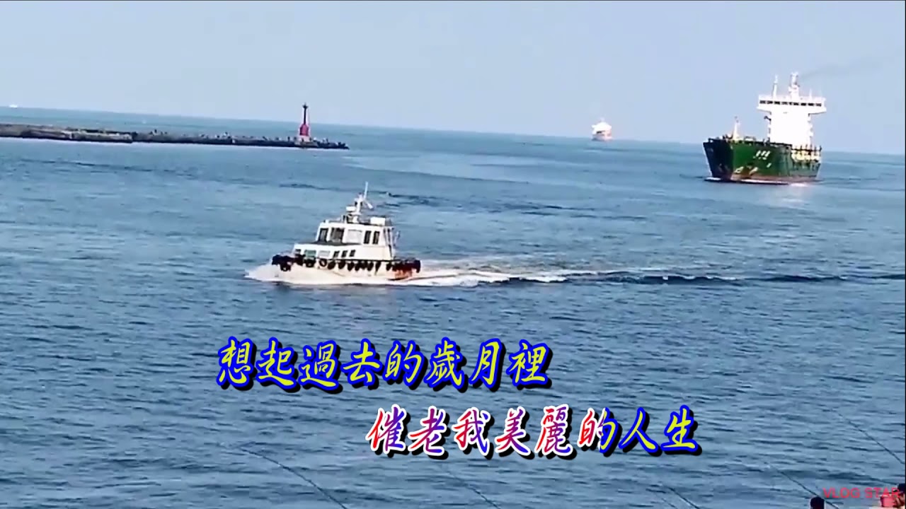 惜別的海岸（國語版）新悅聲