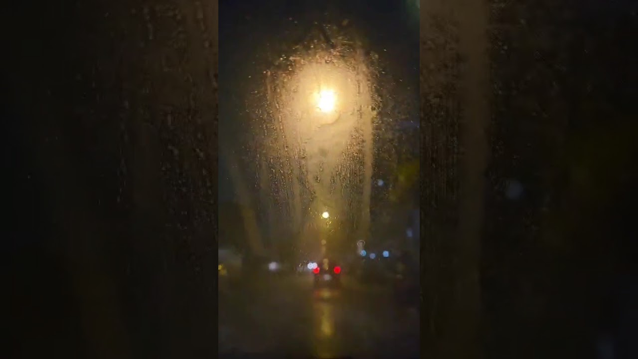 🚦🚙🌧