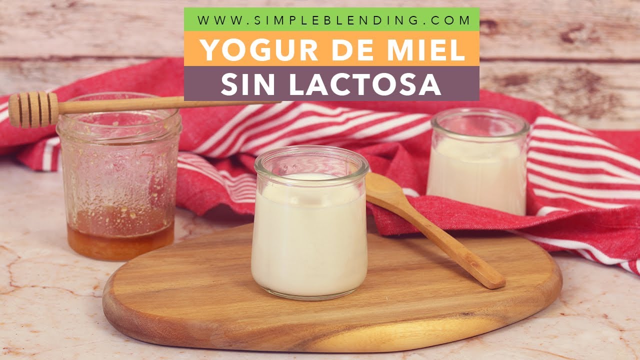 ESTE ES EL MEJOR YOGUR CASERO DE MIEL SIN LACTOSA | Receta de yogur semidesnatado y sin lactosa