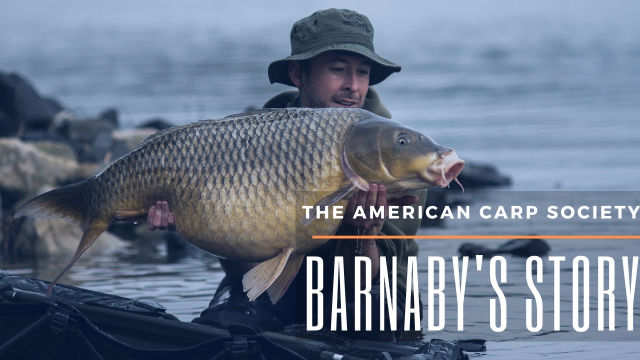 BARNABY'S STORY - HOW IT STARTED - THE AMERICAN CARP SOCIETY