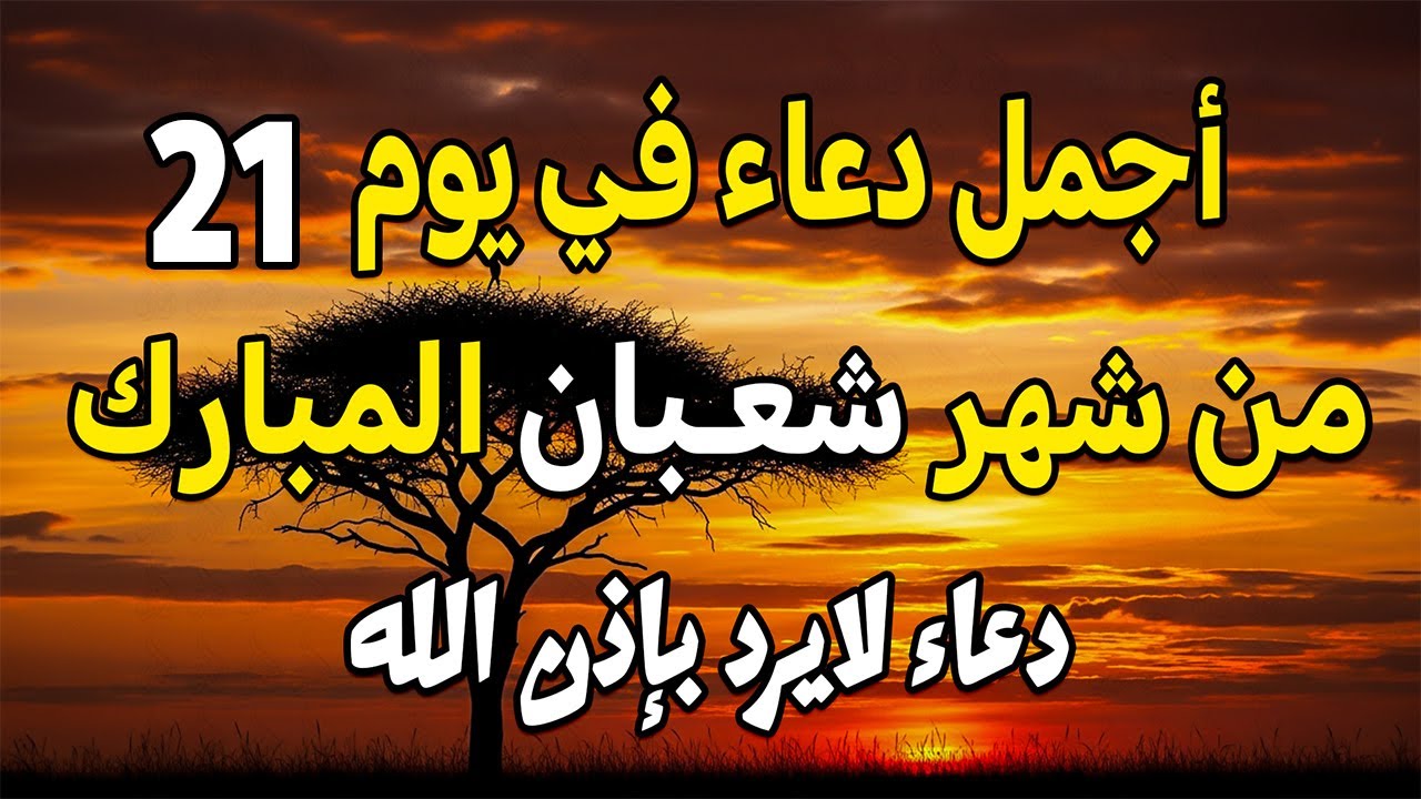 اجمل دعاء في  يوم الإثنين 21 من شهر شعبان 2026 دعاء لرفع البلاء وقضاء الحوائج وجلب الرزق 🤲