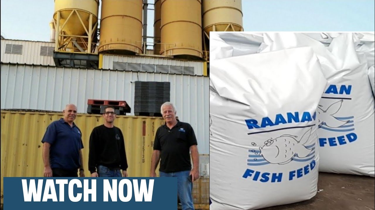 Why Our Fish Feed Double Farmers Profits | Watch How An Indian Company Is Transforming Fish Farming