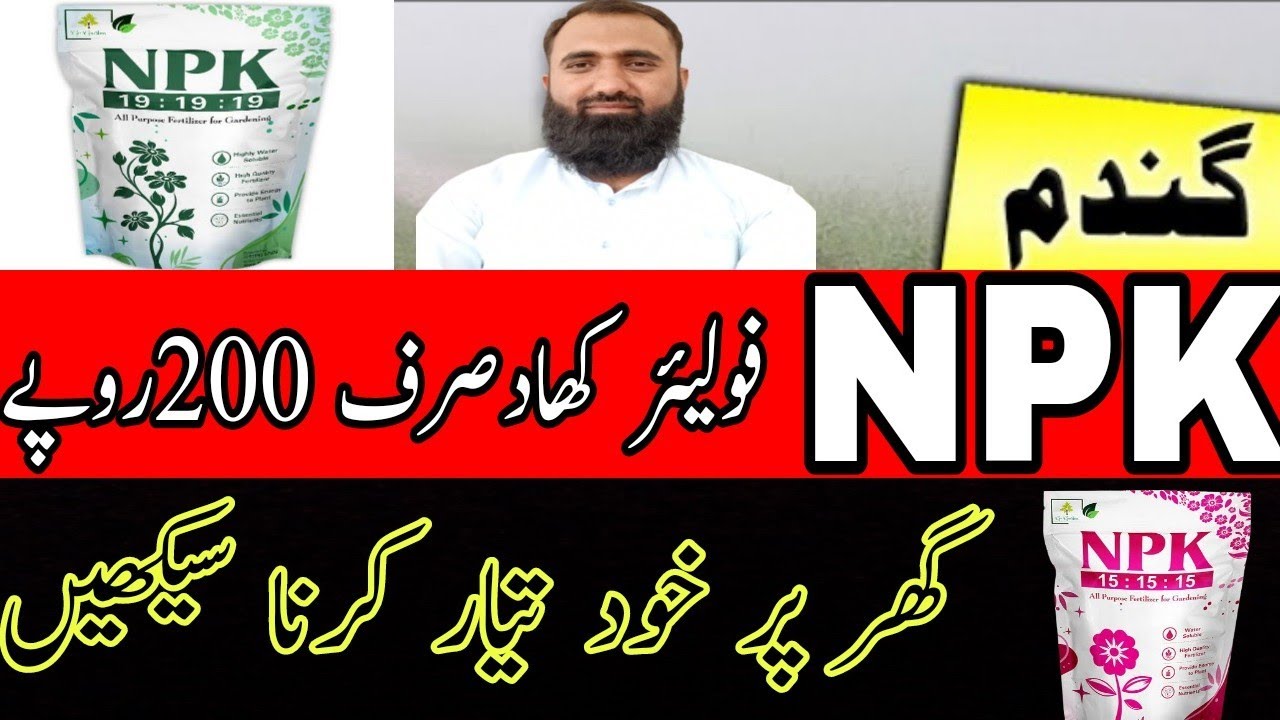 How to make NPK foliar fertilizer at home || Bilal Kanju Official