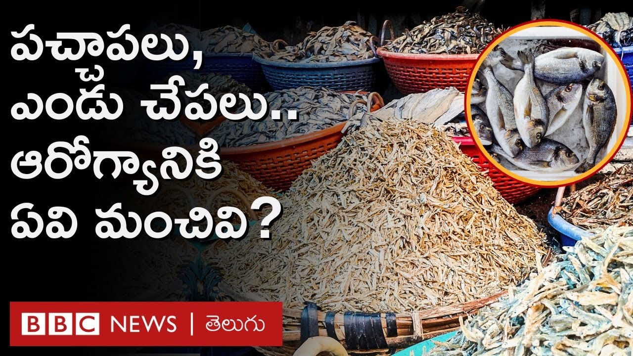 పచ్చి చేపలు, ఎండు చేపలు.. వేటిలో ఎక్కువ పోషకాలు ఉంటాయి? Dry Fish vs Fresh Fish | Explained