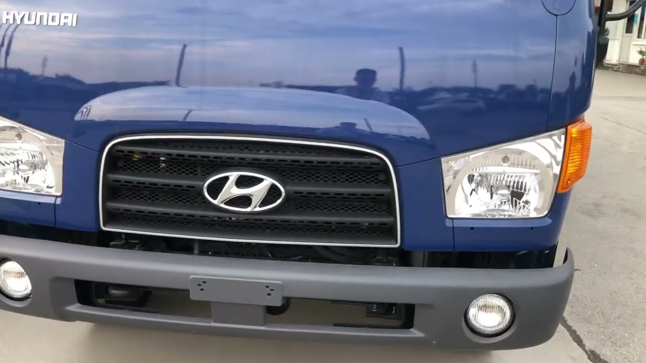 Xe tải Hyundai chuyên chở Gà lồng