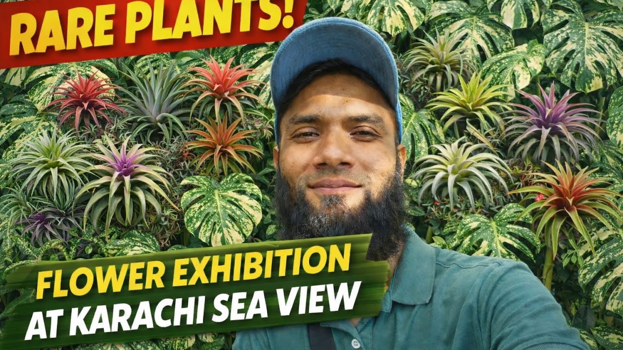 75th Annual Flower Exhibition Karachi Part 3