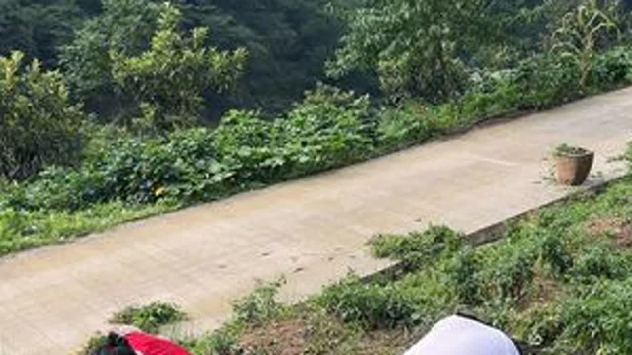 #我的乡村生活 #抖音新农人 #农村日常生活 #记录我的农村美食生活 #每天都记录我的农村真实生活