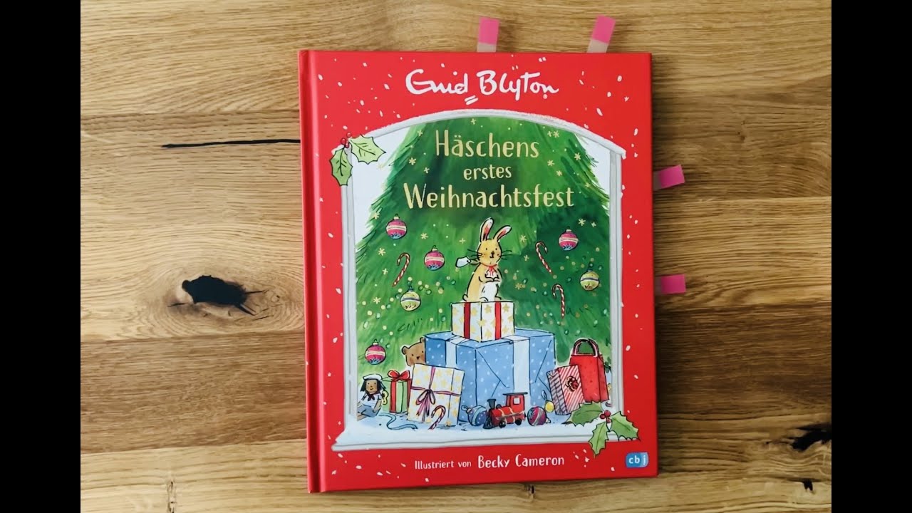 H&auml;schens erstes Weihnachtsfest Kinderbuch/ Bilderbuch/ Buch/ Geschichte/ Weihnachten/ Weihnachtsbuch