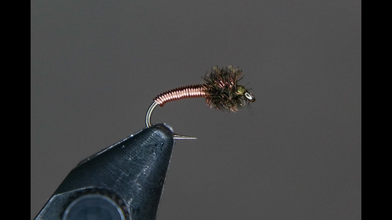 Wapsi Brassie fly tying