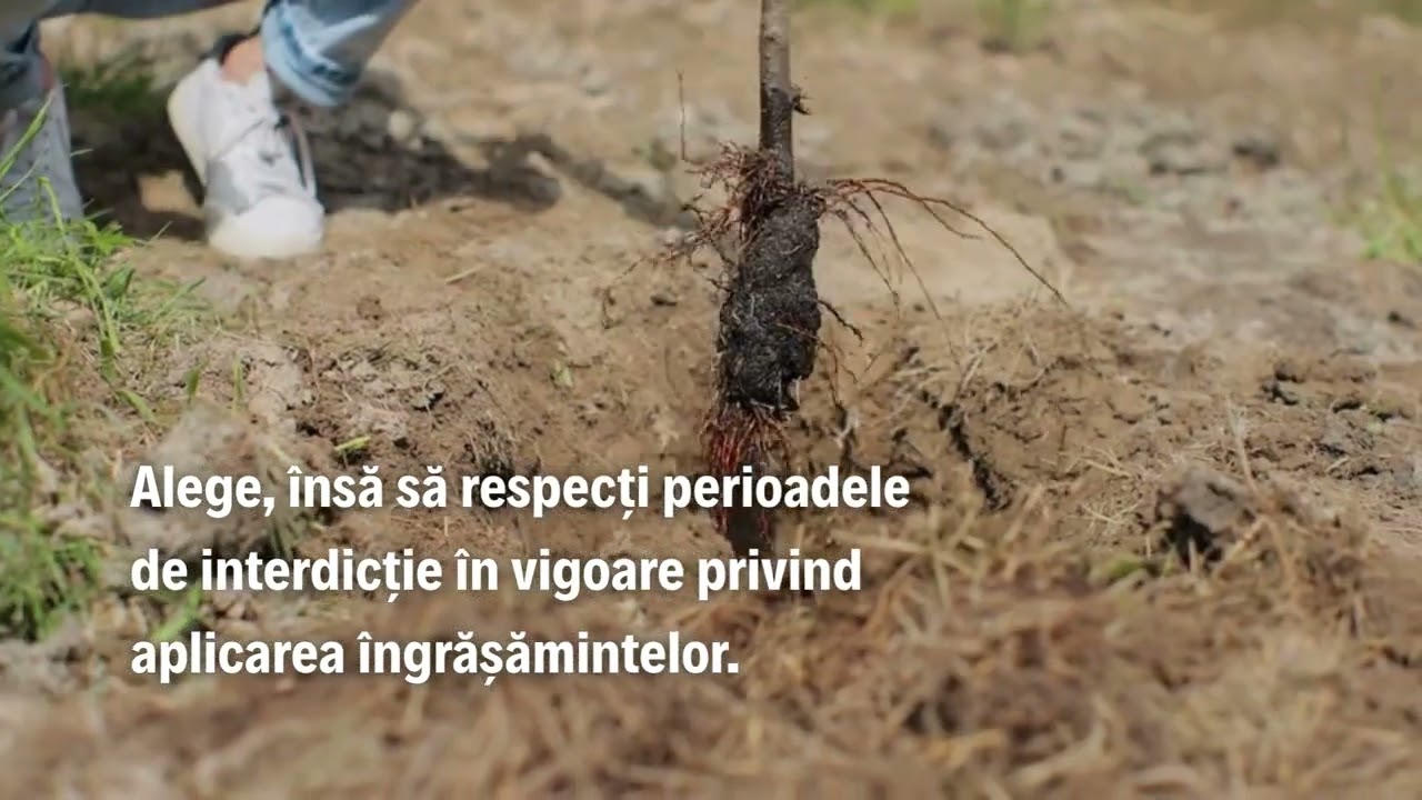 Primăvara, natura reînvie