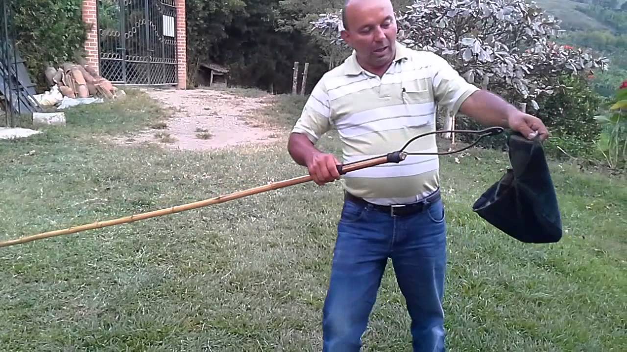Herramienta para recoleccion de frutos de aguacate tecnoparque manizales
