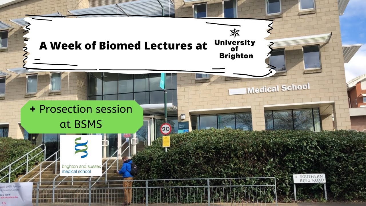 A Week of Lectures - Mature student - Biomedical Science - University of Brighton