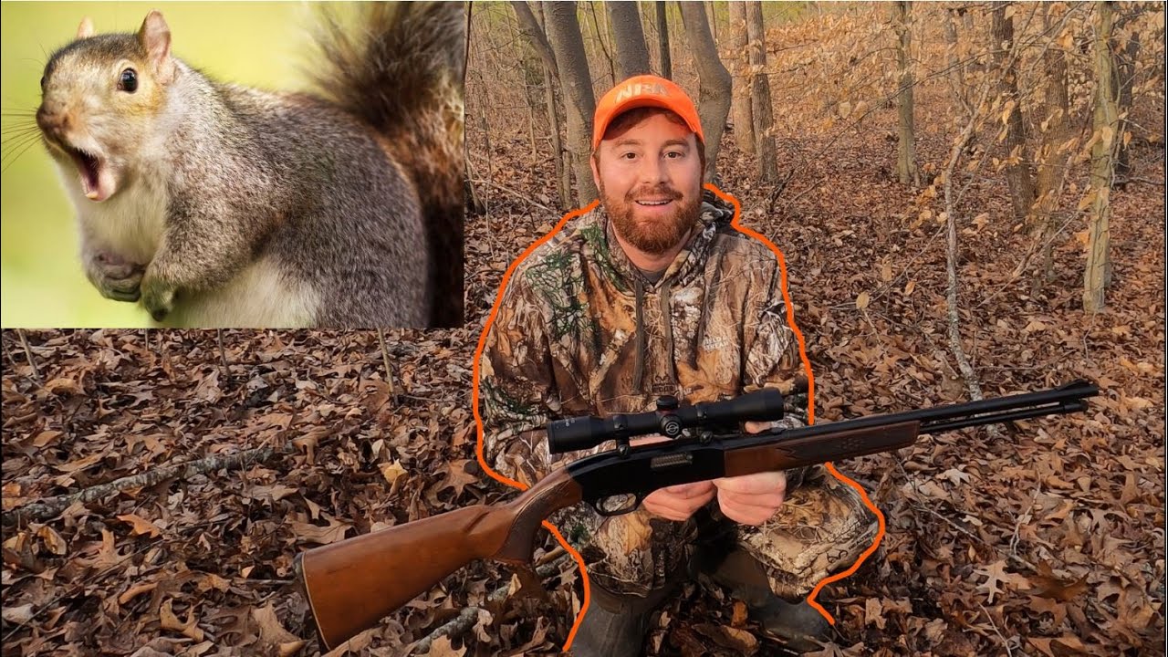 Squirrel Hunting with Semi Automatic .22 Rifle - {Catch and Cook}