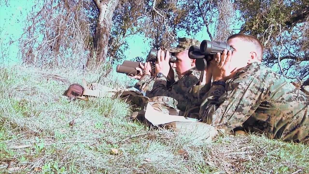 Marines Take First Steps To Become Scout Snipers