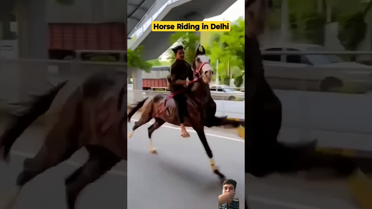 Horse Riding in Delhi #trending #shortsfeed #shortvideo #shorts #horseriding
