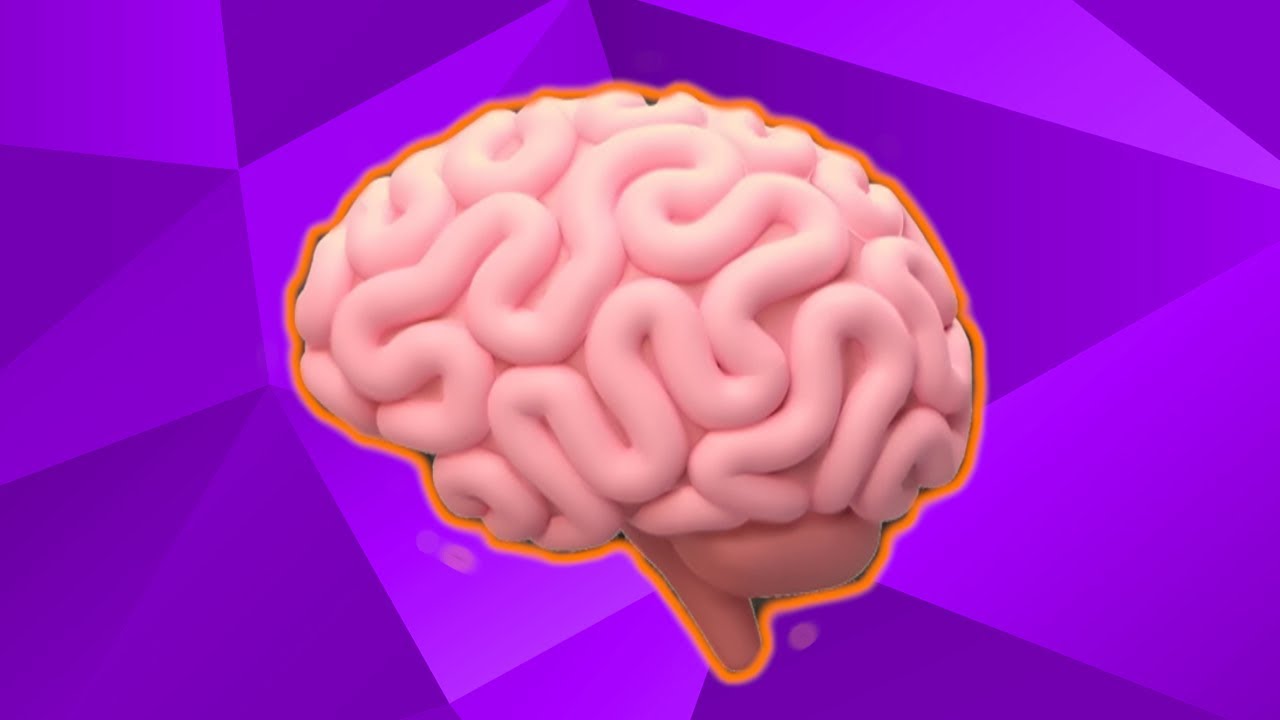 Why Consciousness Doesn't Prove Intelligent Design
